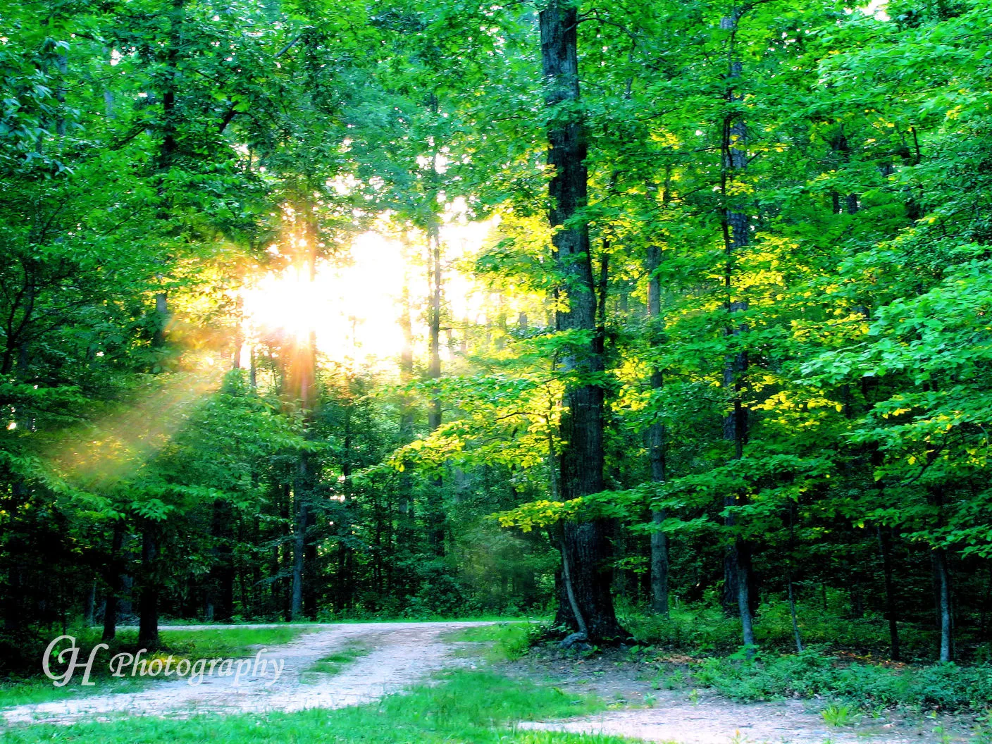 Why I like Girl’s Camp