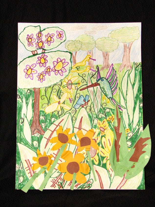 tropical-rain-forest