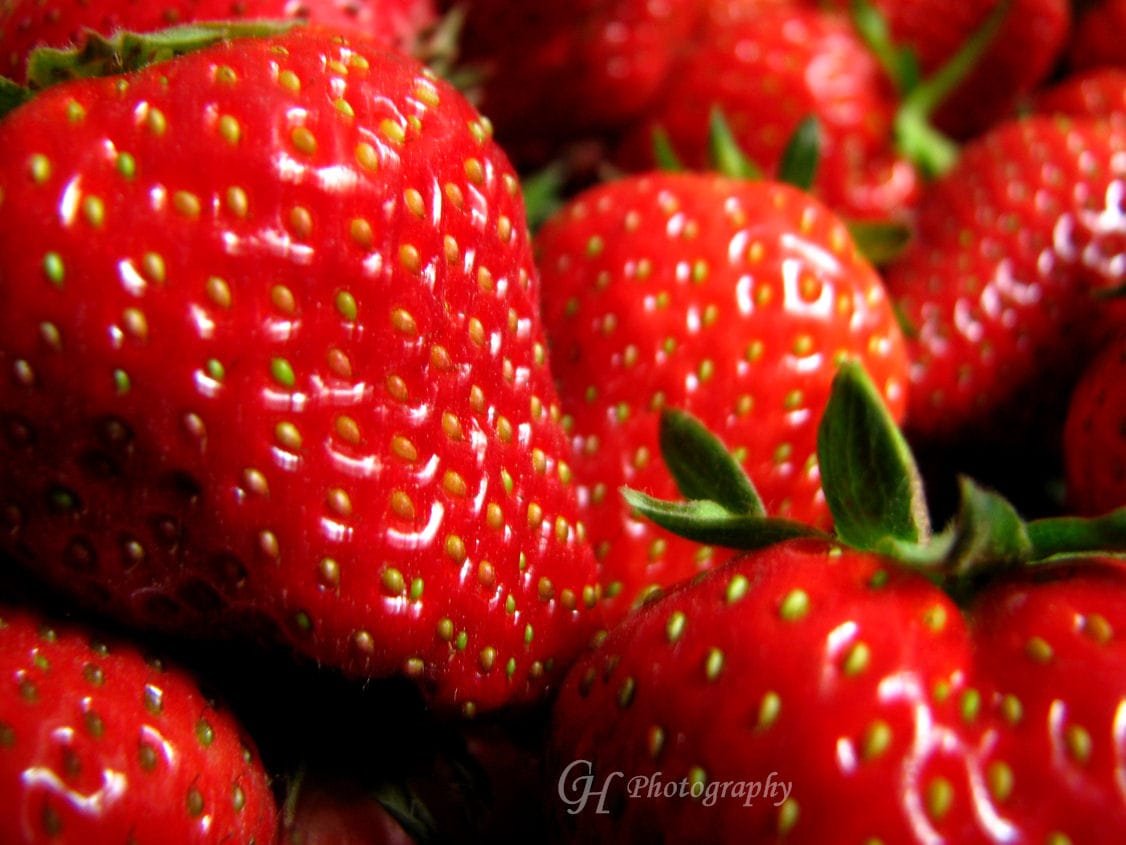 what-spring-tastes-like