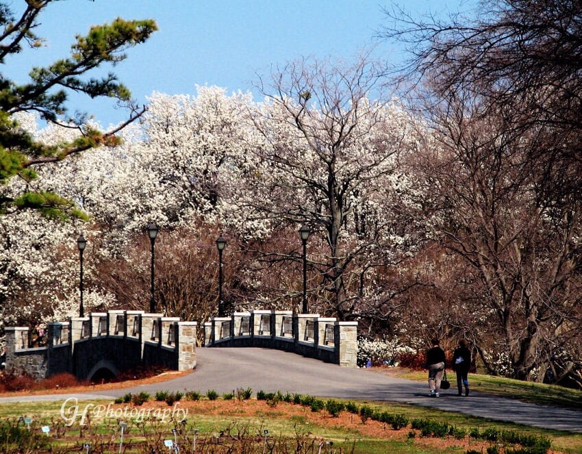 “Earth’s crammed with Heaven…”