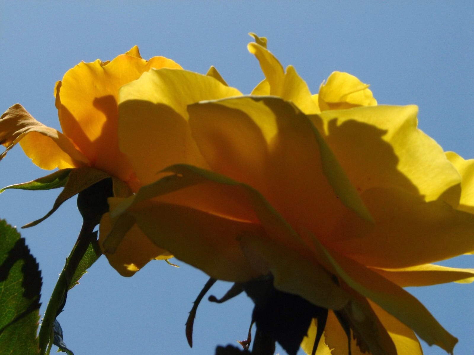 Change of Perspective