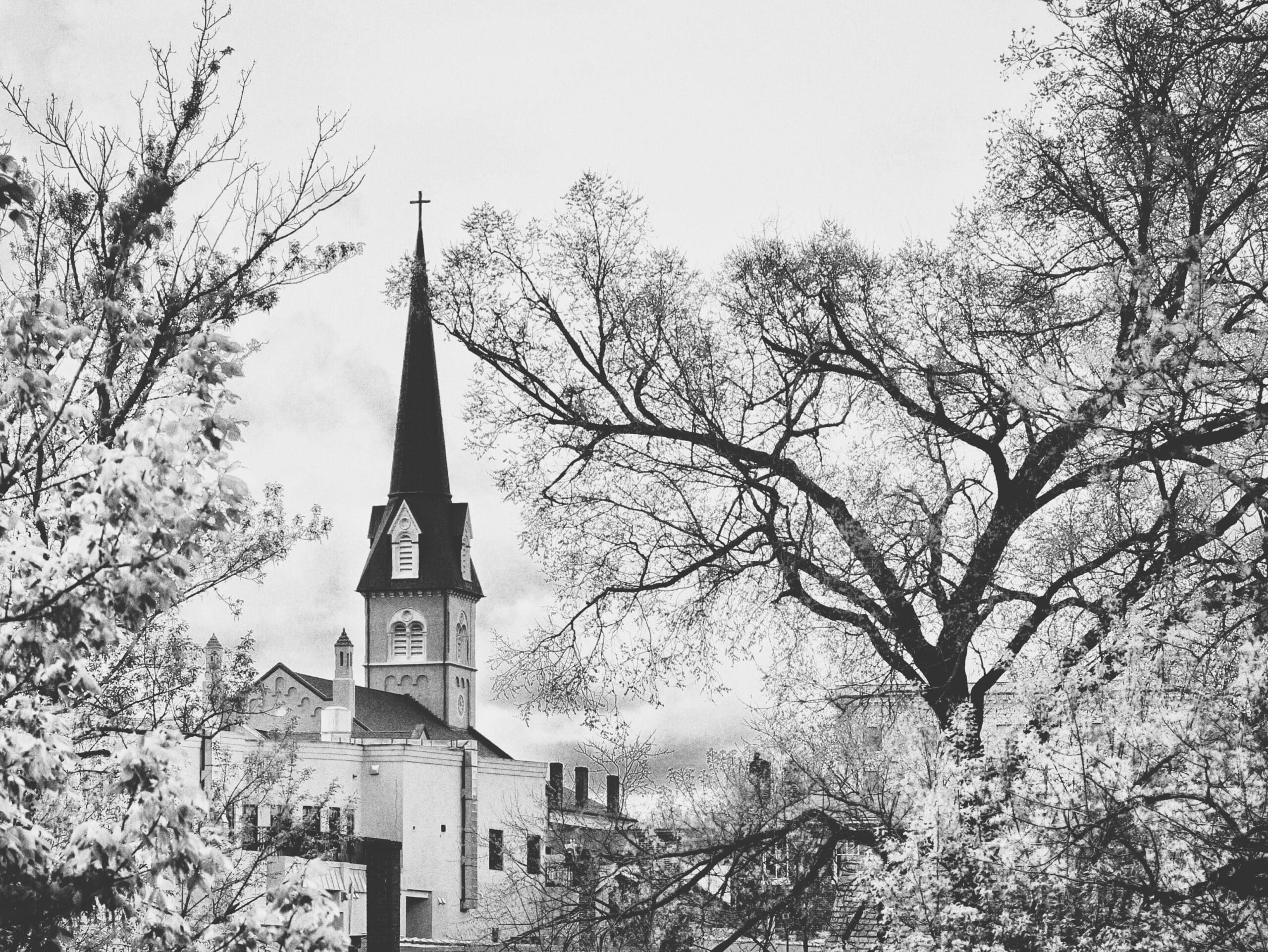 Monday Walkabout : Black and White Edition