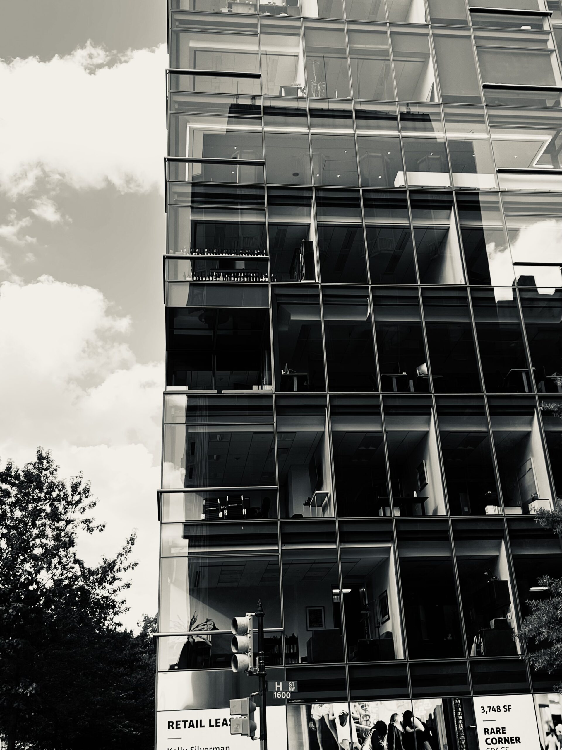 Come Along as I Start a New Business