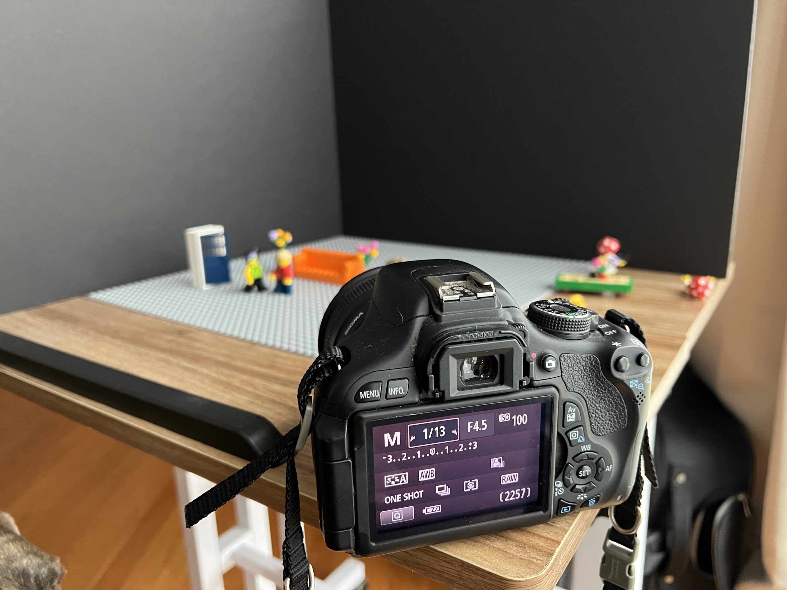 Full frame or APS-C Camera?